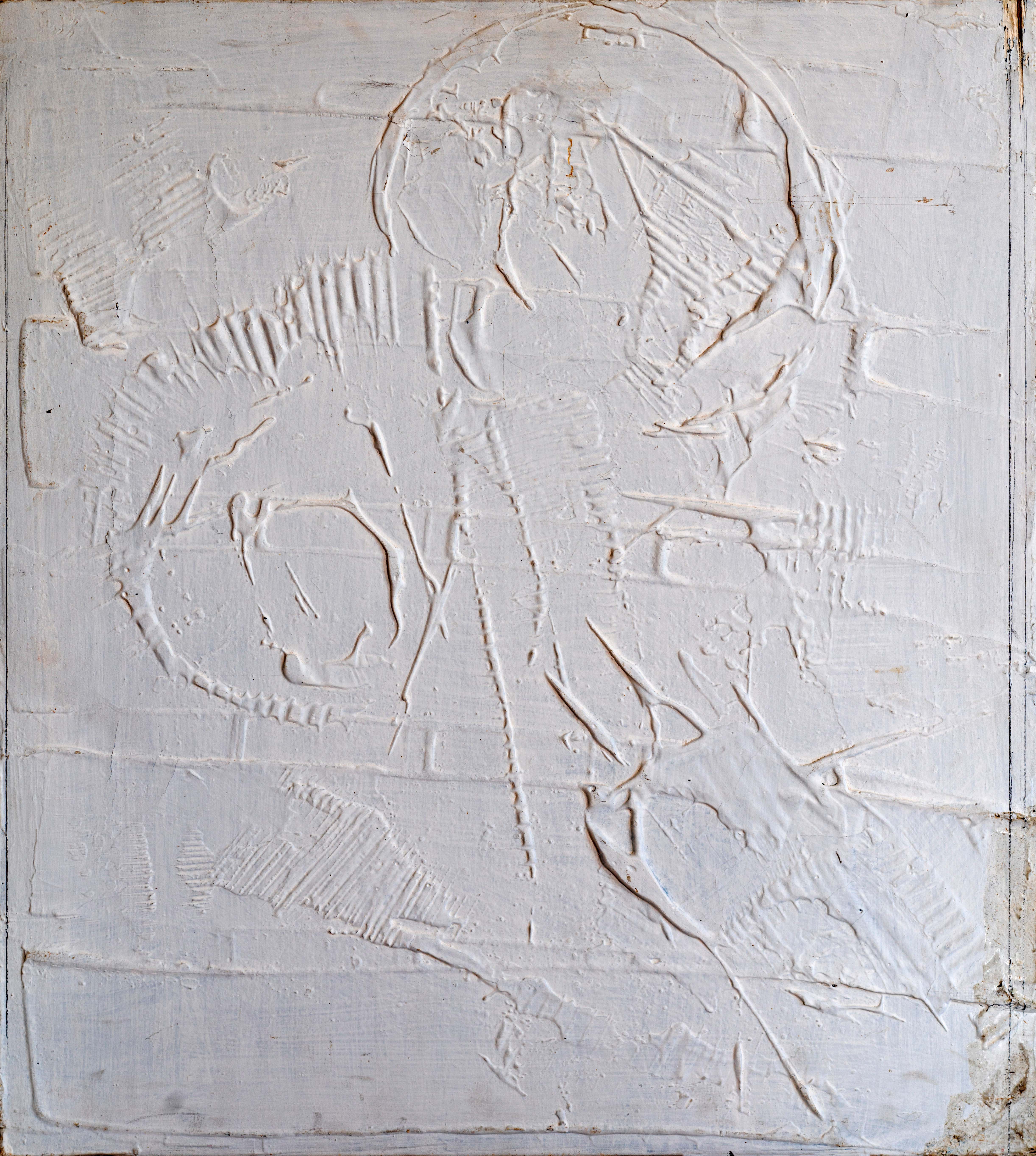 Relieve Blanco 6